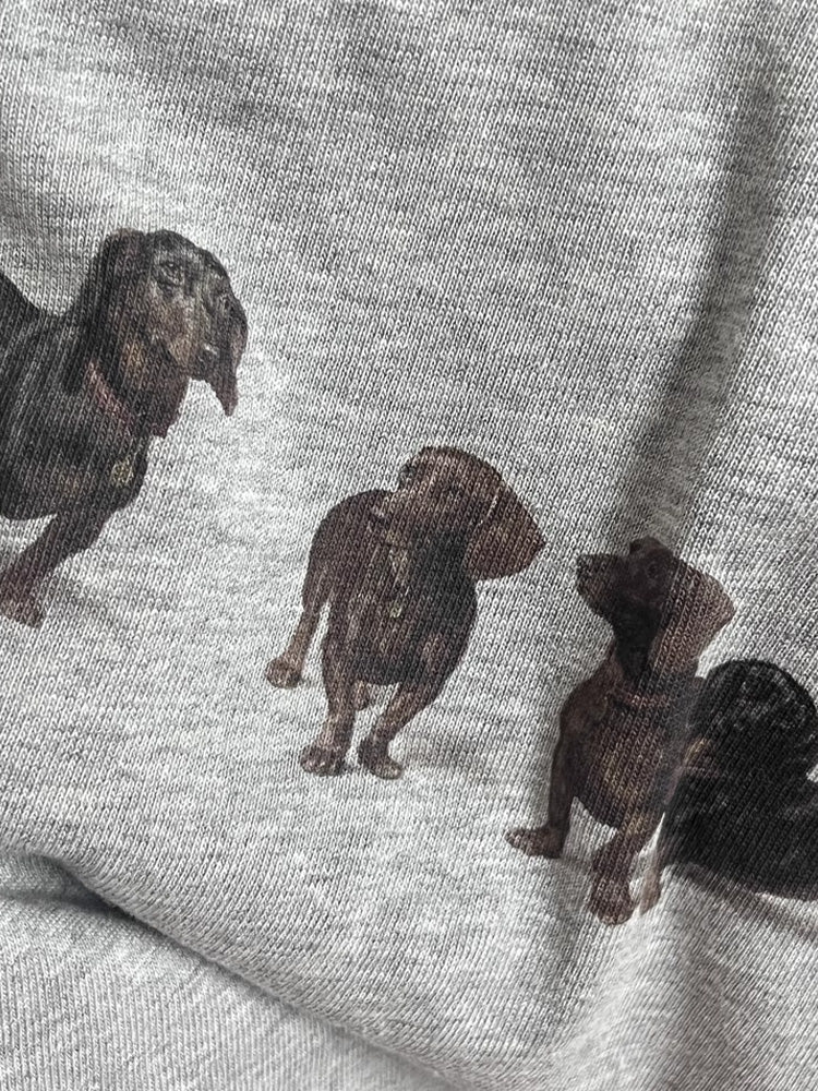 DACHSHUND's BROTHERS