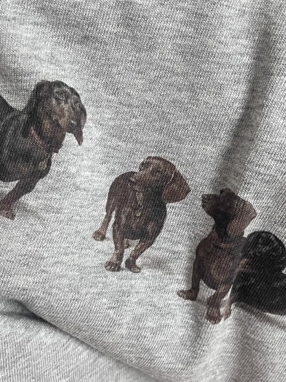 DACHSHUND's BROTHERS
